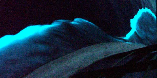 bioluminiscencia barco