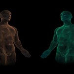 Situs Inversus: cuando en nuestro cuerpo está todo al revés