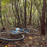 Aokigahara: El bosque de los suicidios de Japón