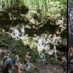 bosque los suicidios