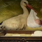 Cigüeñas: ¿por qué las asociamos a los bebés?