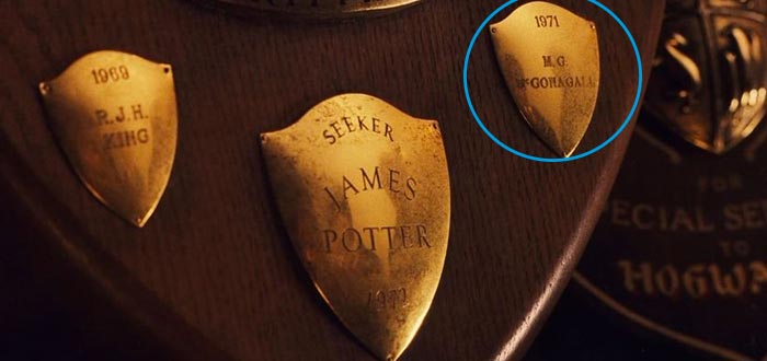 curiosidades de harry Potter, trofeo de McGonagall