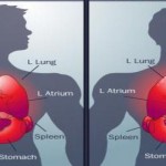 Situs Inversus: cuando en nuestro cuerpo está todo al revés