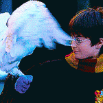 Hedwig