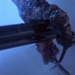 7 criaturas súper terroríficas del cine