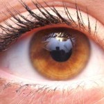 Colores de ojos: los 5 más sorprendentes