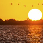 paisaje de la Florida