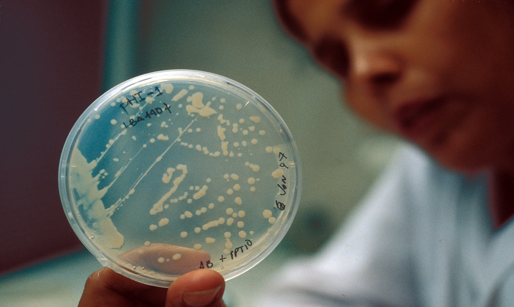 10 cosas repletas de bacterias que tocas a diario - Supercurioso