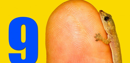 9 datos que DESCONOCÍAS de tus huellas dactilares