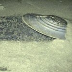 Kapustin Yar: El Roswell ruso