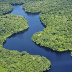amazonia portada