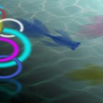 circulos de colores en el mar