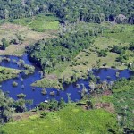 deforestación