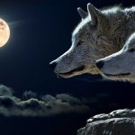 ¿Es verdad que la luna nos afecta?