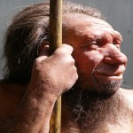 Homo neanderthalensis