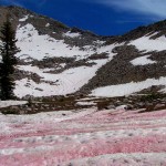 El fenómeno de la nieve rosa