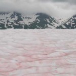 watermelon snow paisaje