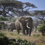 Las 48 leyes del poder