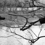 ¿Y tú, también «procrastinas»?