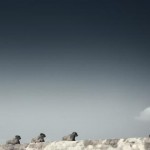 Las 48 leyes del poder