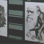 10 curiosidades sobre Darwin que no conocías