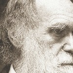 10 curiosidades sobre Darwin que no conocías