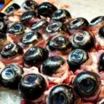 comidas más asquerosas del mundo