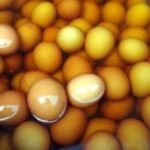 La comida más asquerosa del mundo