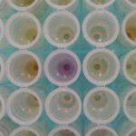 ADN: El futuro del disco duro