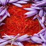 La curiosa historia del azafrán, una especia seductora