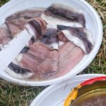 Surströmming