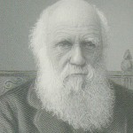 10 curiosidades sobre Darwin que no conocías