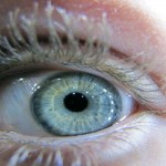 Los arácnidos que habitan tu cuerpo