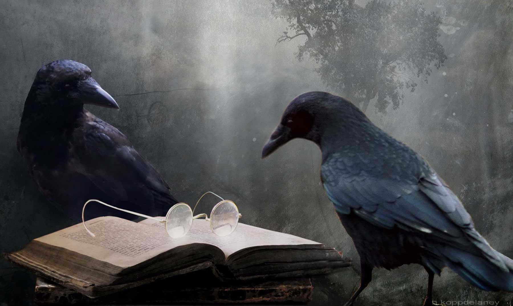 Ворона умная ли птица. «Мудрый ворон». Ученый ворон. Умный ворон. Мудрость ворона.