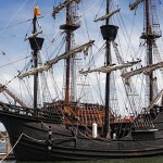 El ave del paraíso, el pájaro que vivía del rocío del cielo