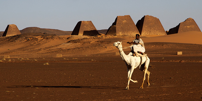 pirámides y camello