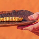 Las comidas más asquerosas del mundo