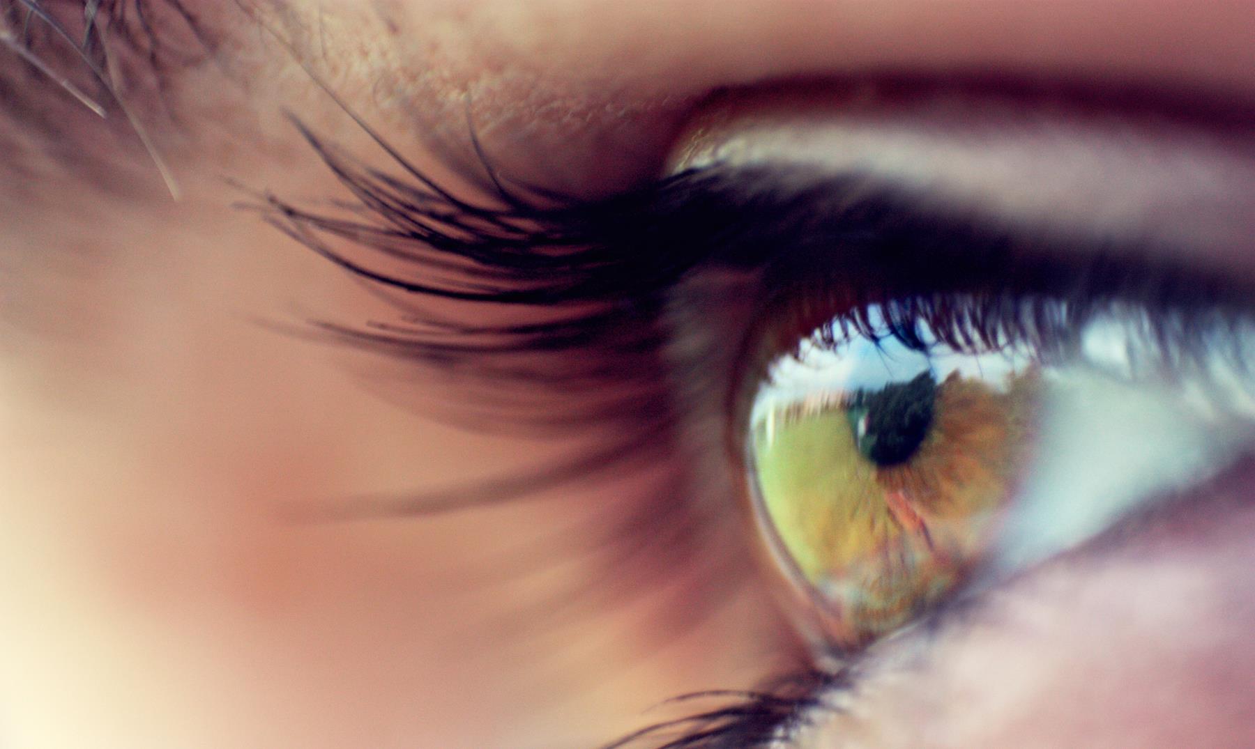 5 curiosidades sobre las pupilas