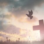 muertes absurdas de famosos