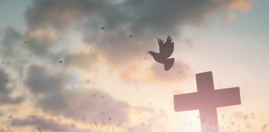 12 muertes absurdas de famosos de la historia | Finales inesperados muertes absurdas de famosos