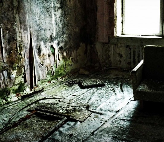 El moho, viviendo con el enemigo Moho portada