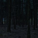 bosque