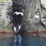 grietas