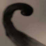 Junko Furuta: Cuando la violencia se desata