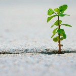¡Una planta creciendo en mi cuerpo! 3 casos reales