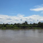 río amazonas portada