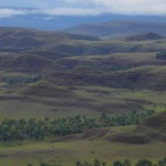 sabana