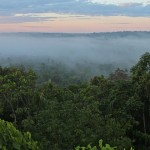 selva amazónica