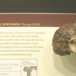 taung