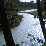 vista de un recodo